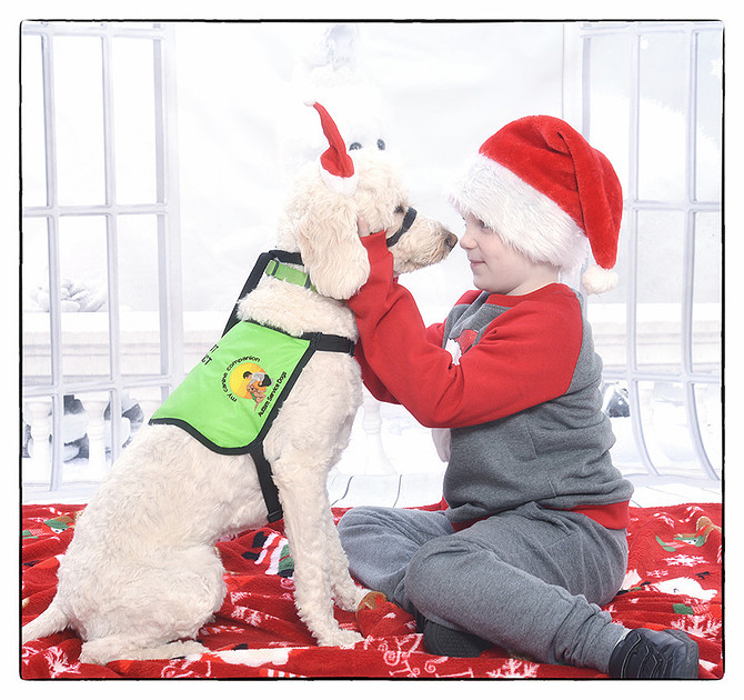 Victor Horgan Photography | Pet Photography