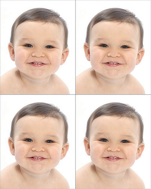Victor Horgan Photography | Passport Photography