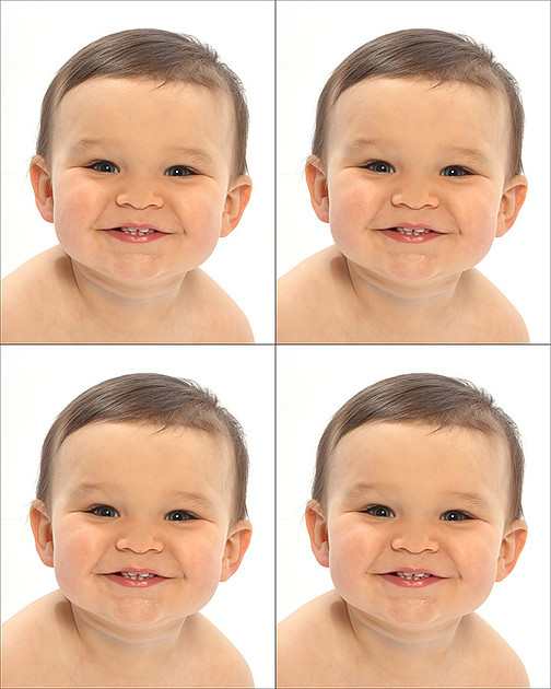 Victor Horgan Photography | Passport & Head Shots