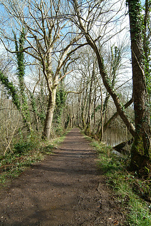 DSCF0040