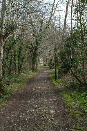 DSCF0042